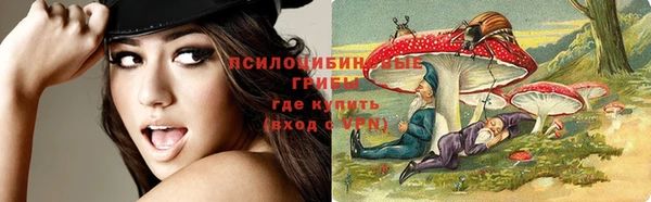 круглые Алзамай
