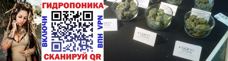 Конопля MAZAR  Чадан 